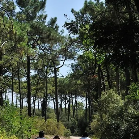 Apartmán 5 Pers Au Calme, Proche A St Jean De Monts - Fr-1-323-587 *