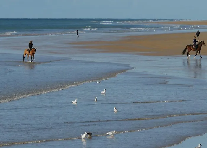 5 Pers Au Calme, Proche A St Jean De Monts - Fr-1-323-587 شقة سان جان دي مونت