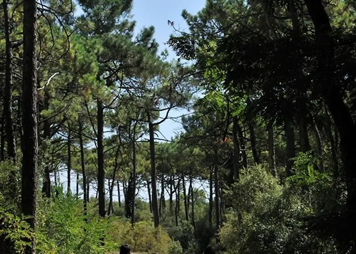 شقة 5 Pers Au Calme, Proche A St Jean De Monts - Fr-1-323-587 *