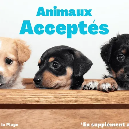 5 Pers Au Calme, Proche A St Jean De Monts - Fr-1-323-587 Saint-Jean-de-Monts
